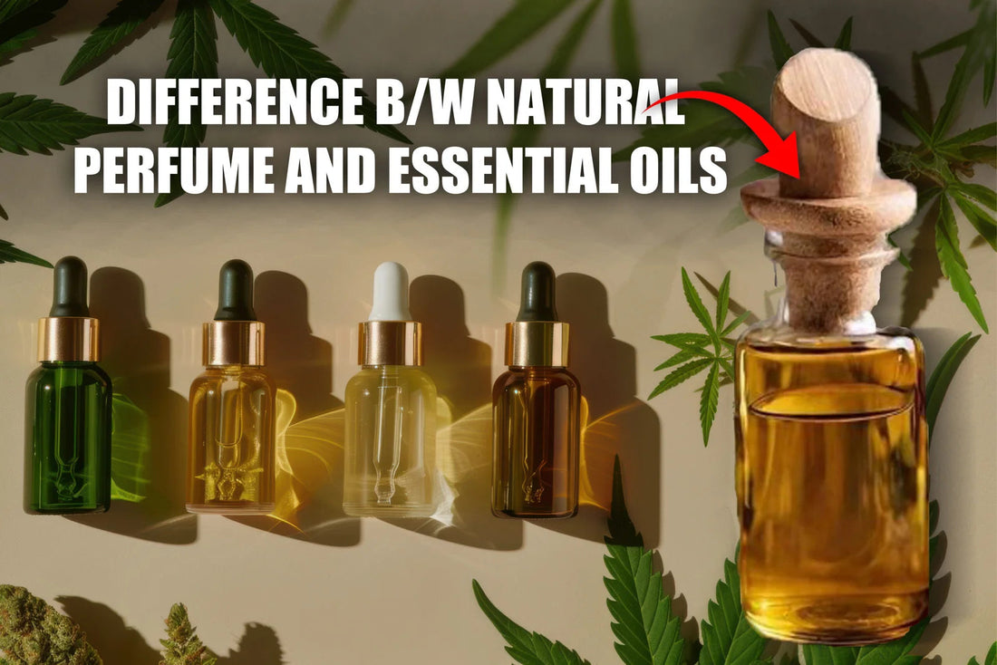 Natural Perfume vs Essential Oils: What's the Difference?