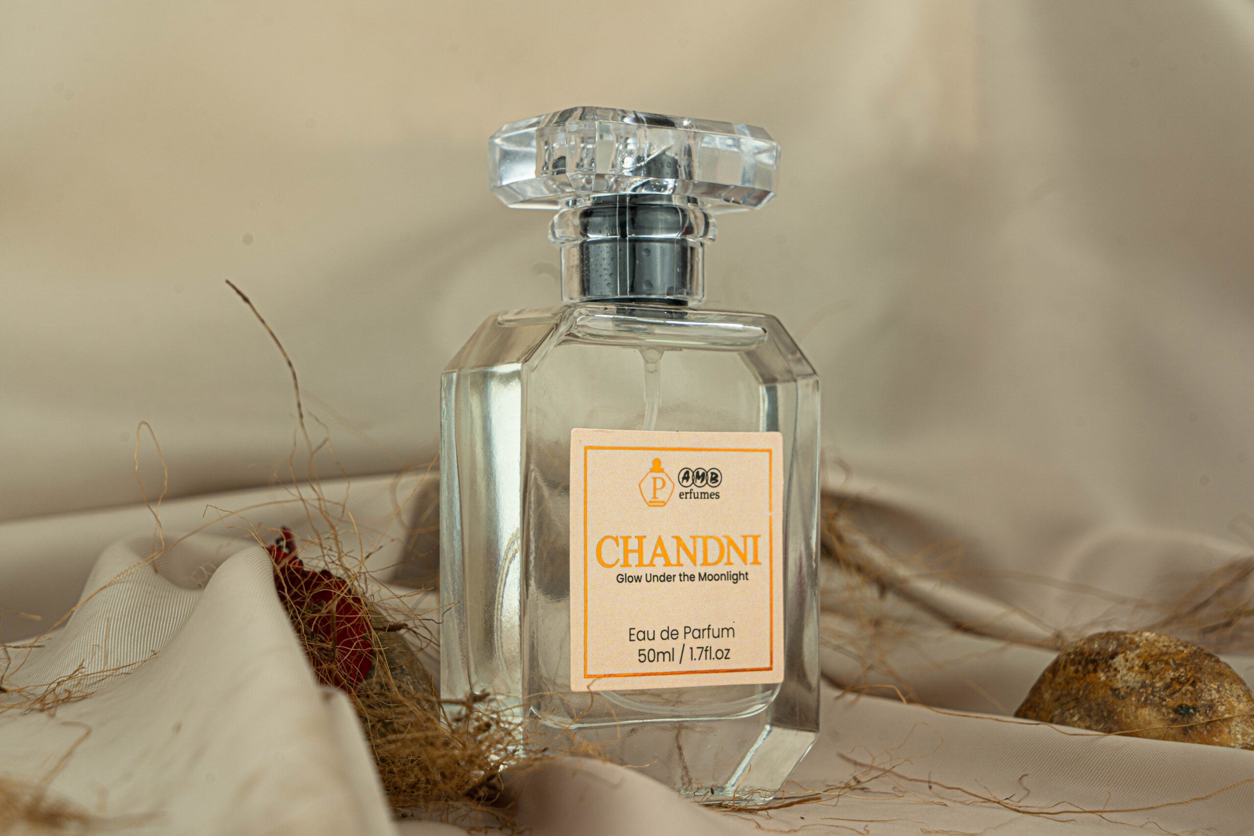 Chandni 2