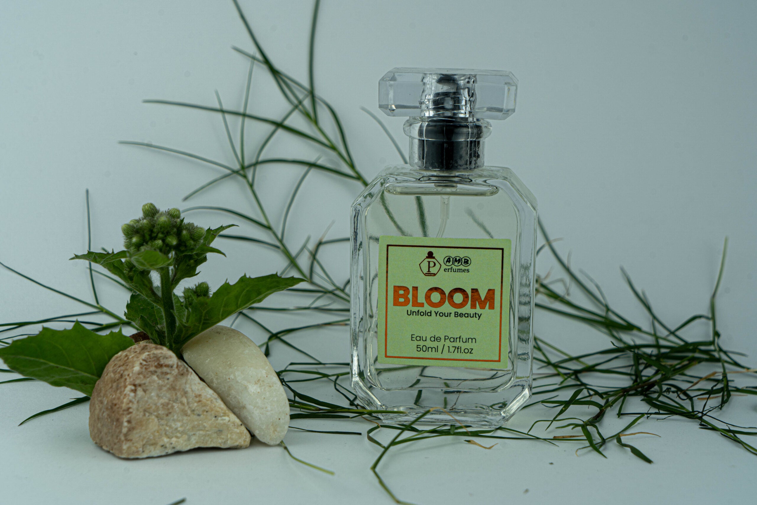 Bloom 2